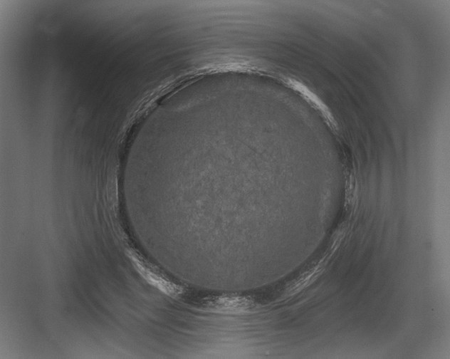 X0000083650493200702121154