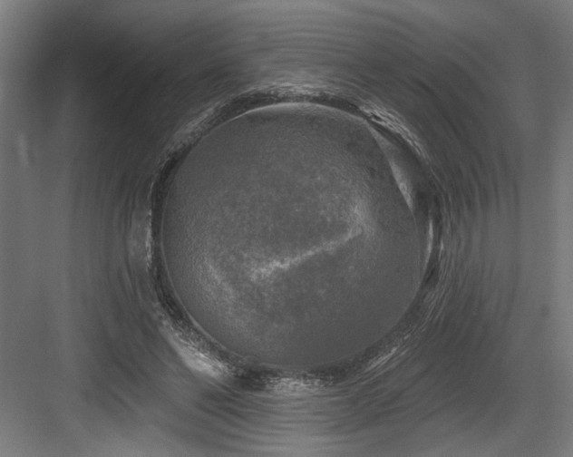 X0000083650494200702121154