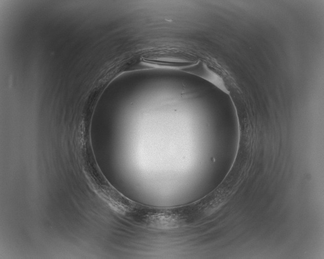 X0000083650498200702121154