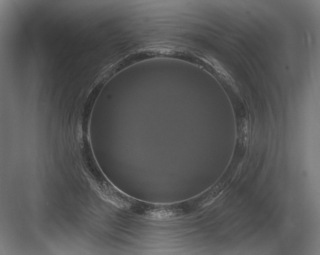 X0000083650500200702121153