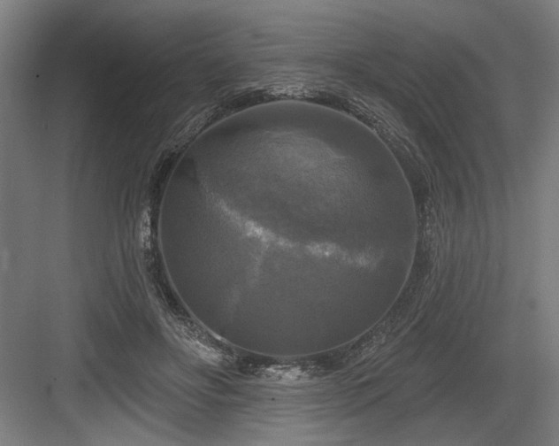 X0000083650502200702121153