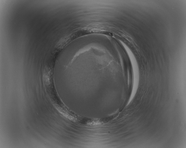 X0000083650503200702121153