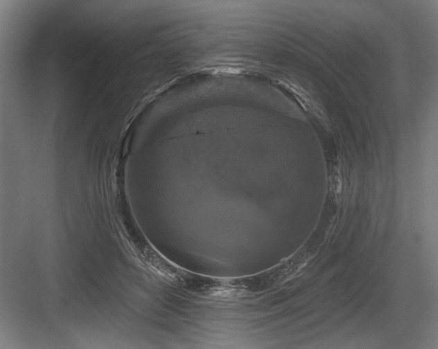X0000083650504200702121153