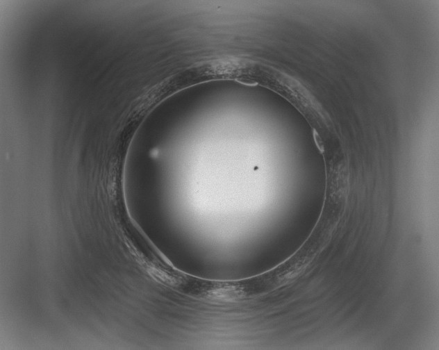 X0000083650505200702121153