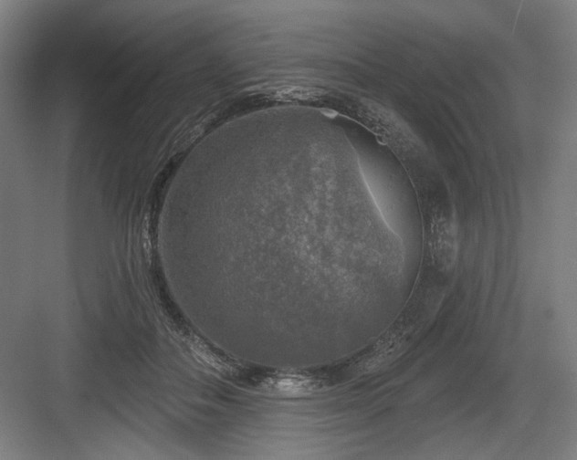 X0000083650506200702121153