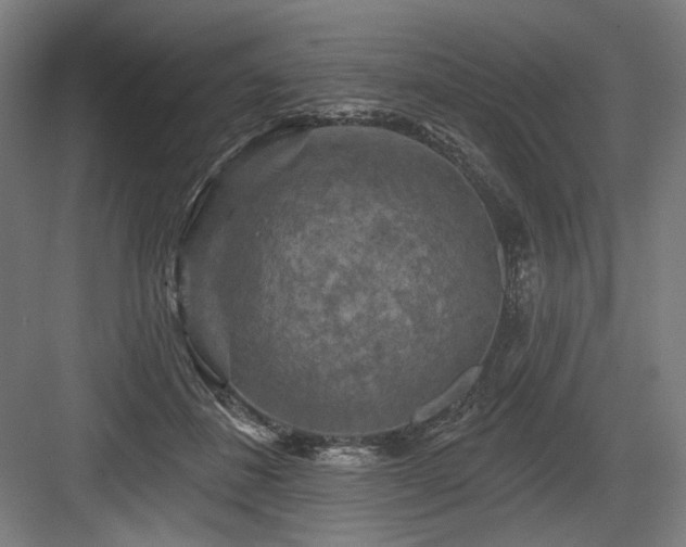 X0000083650508200702121153