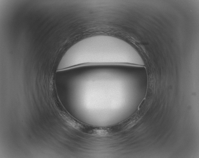 X0000083650509200702121153