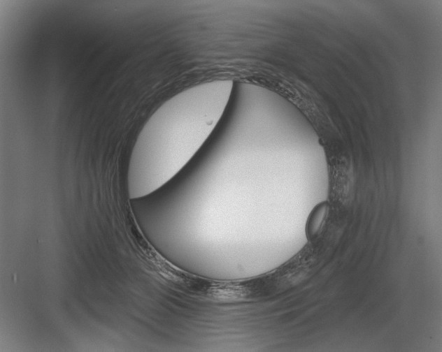 X0000083650510200702121153