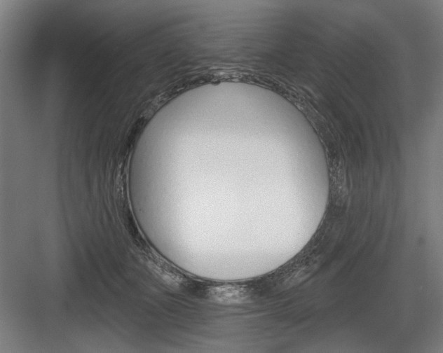 X0000083650511200702121153