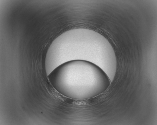 X0000083650512200702121153