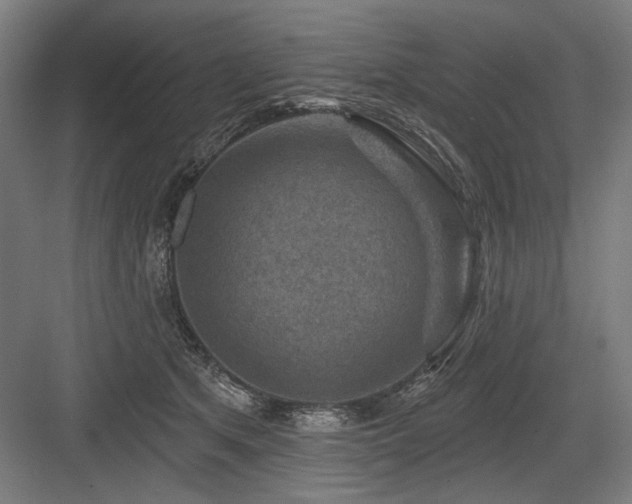 X0000083650513200702121153