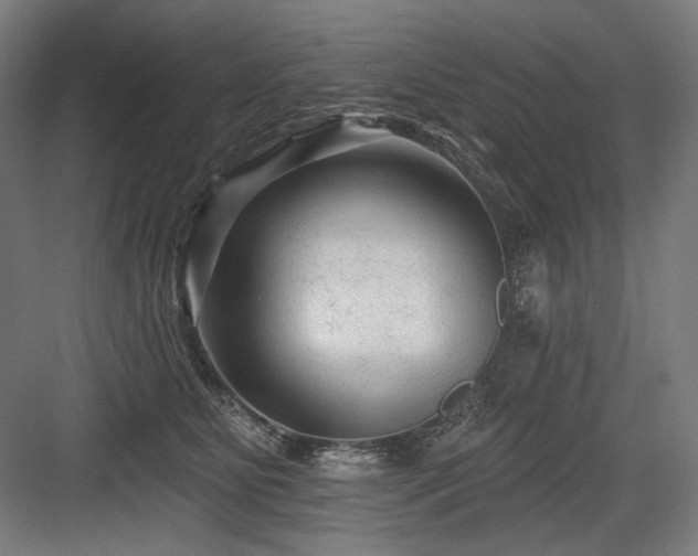 X0000083650515200702121153