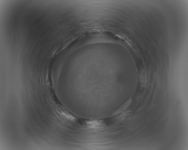 X0000083650516200702121153