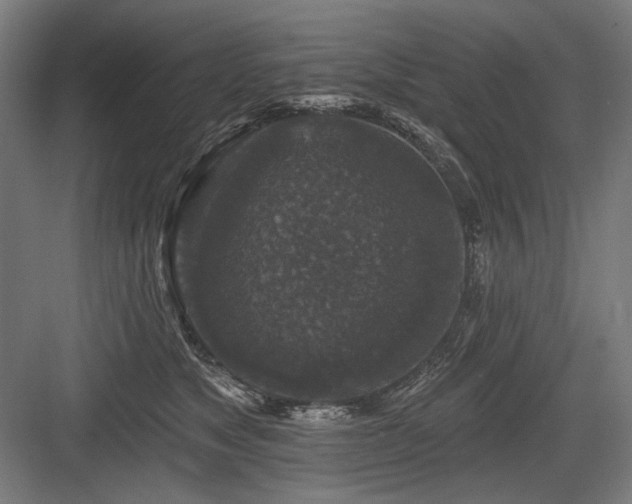 X0000083650517200702121153