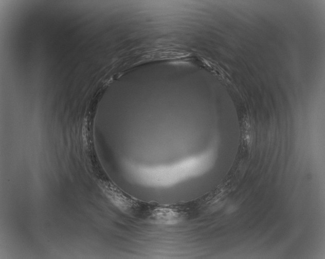X0000083650519200702121153