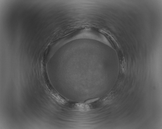 X0000083650520200702121153