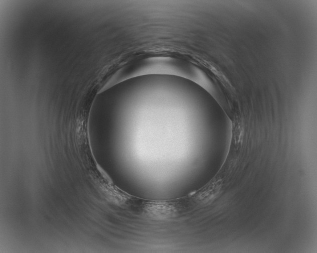 X0000083650521200702121153