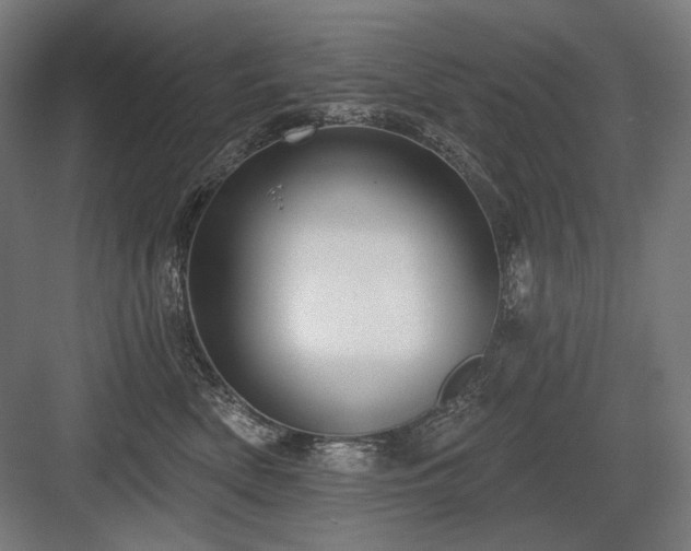 X0000083650522200702121153