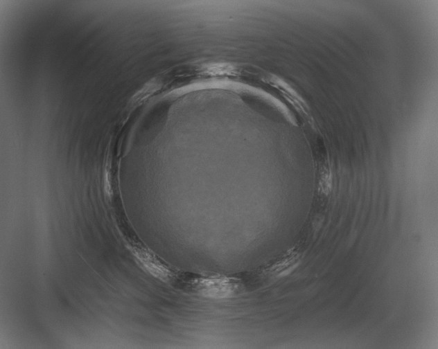 X0000083650524200702121153