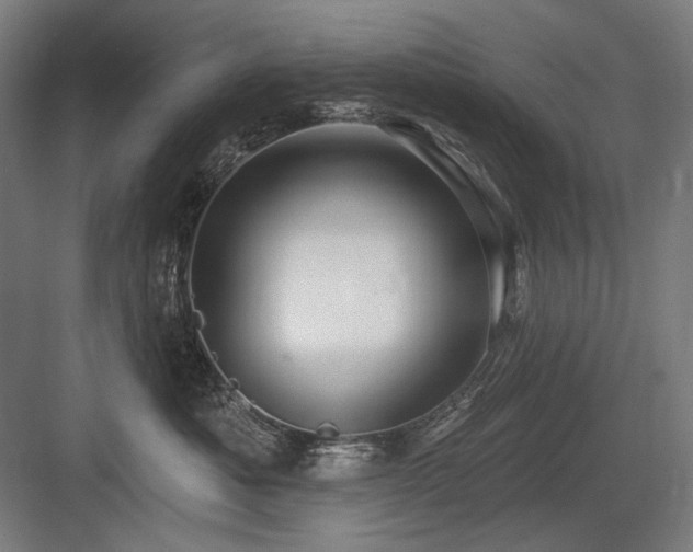 X0000083650525200702121153