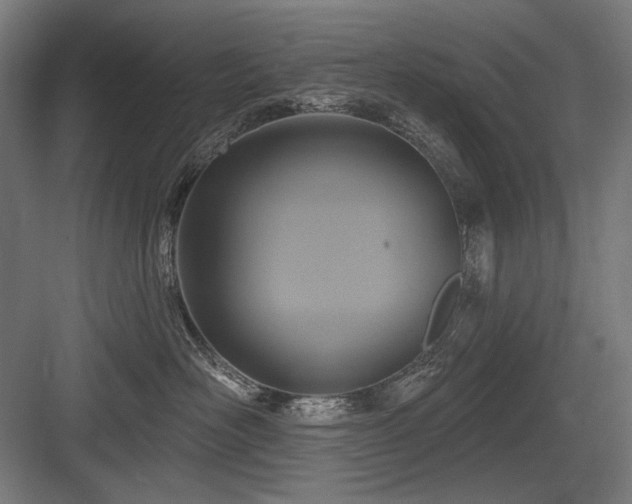 X0000083650526200702121153