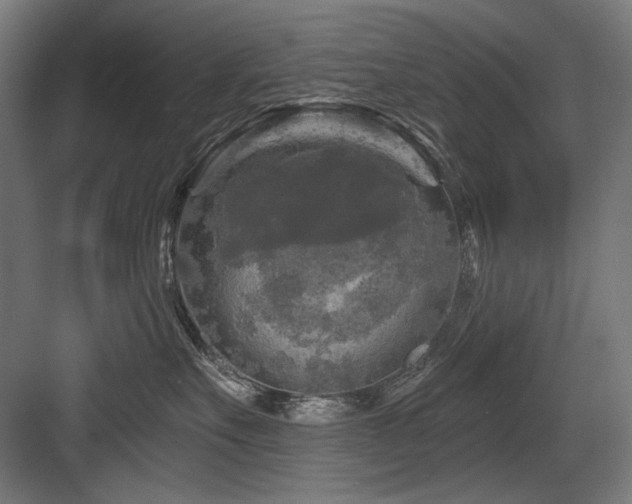 X0000083650527200702121153