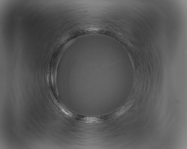 X0000083650528200702121153