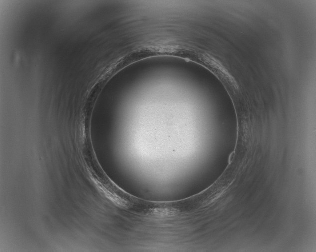X0000083650541200702121152