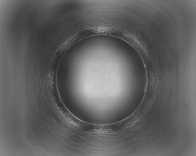 X0000083650545200702121152