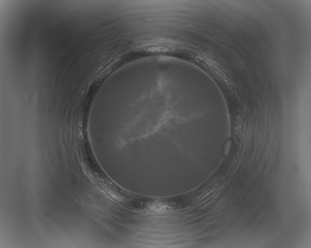 X0000083650547200702121153