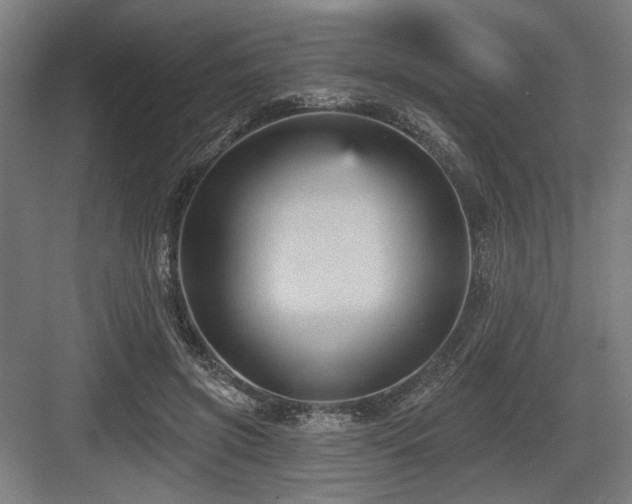 X0000083650549200702121153