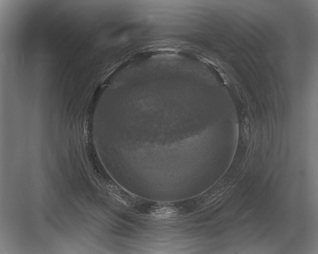 X0000083650551200702121153