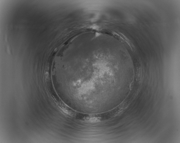 X0000083650553200702121153