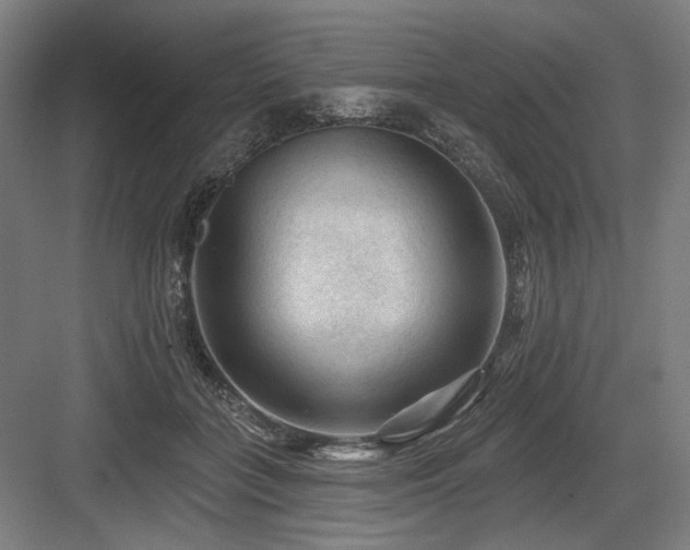 X0000083650555200702121153