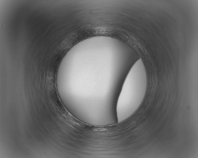 X0000083650557200702121153