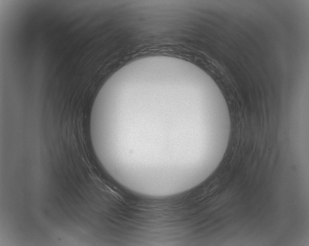 X0000083650558200702121153