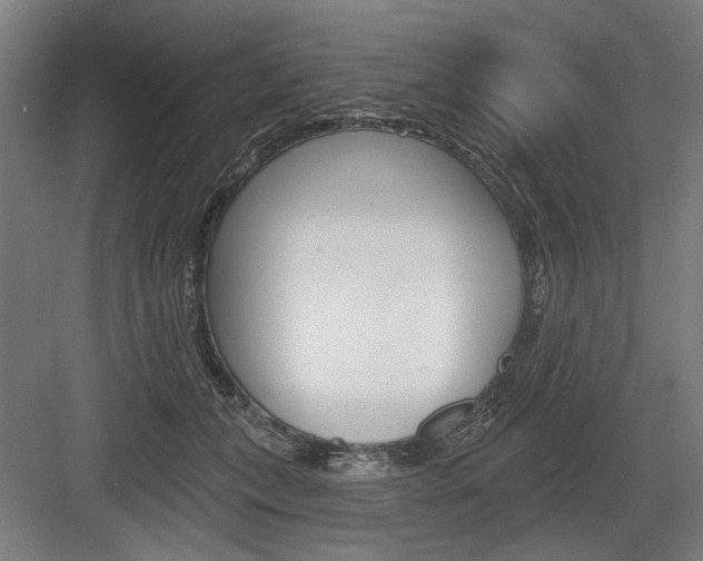 X0000083650559200702121153