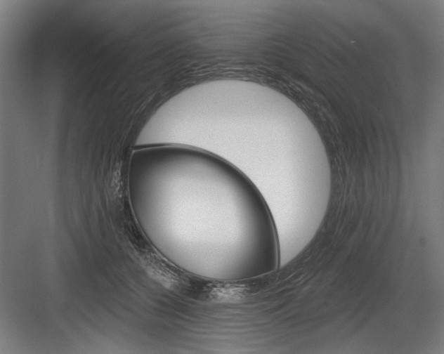 X0000083650560200702121153
