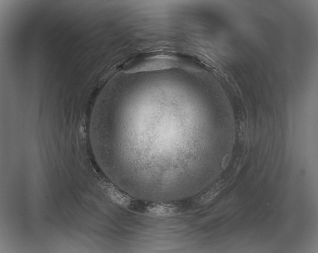 X0000083650561200702121153