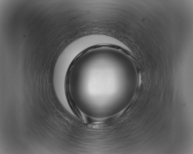 X0000083650564200702121153