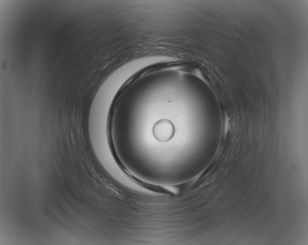 X0000083650566200702121153