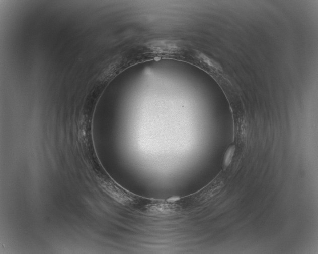 X0000083650567200702121153