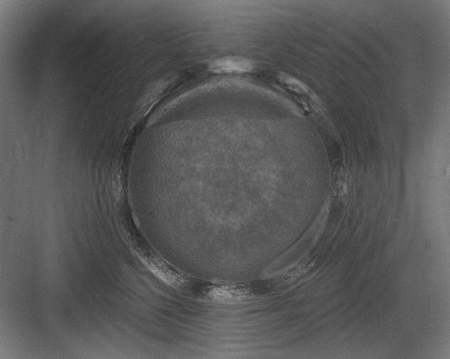 X0000083650568200702121153