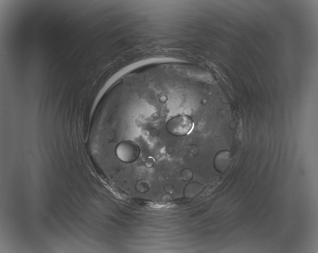 X0000083650569200702121153