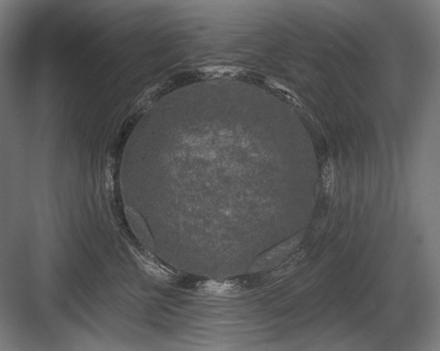 X0000083650570200702121153