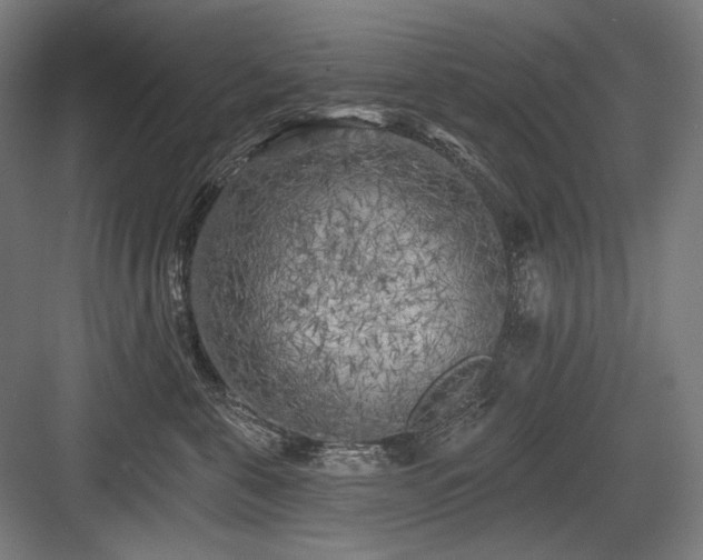 X0000083650571200702121153