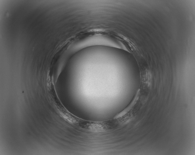X0000083650572200702121153