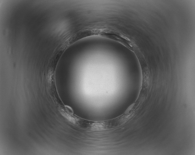 X0000083650574200702121153