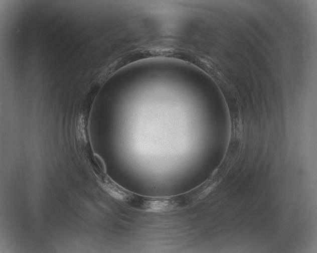 X0000083650575200702121153