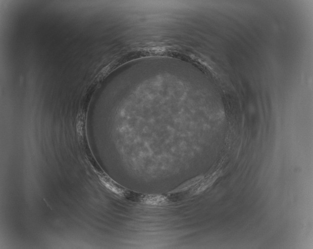 X0000083650576200702121153